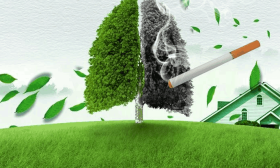 Tobacco Increases Recurrent Aphthous Ulcer Size in Smokers